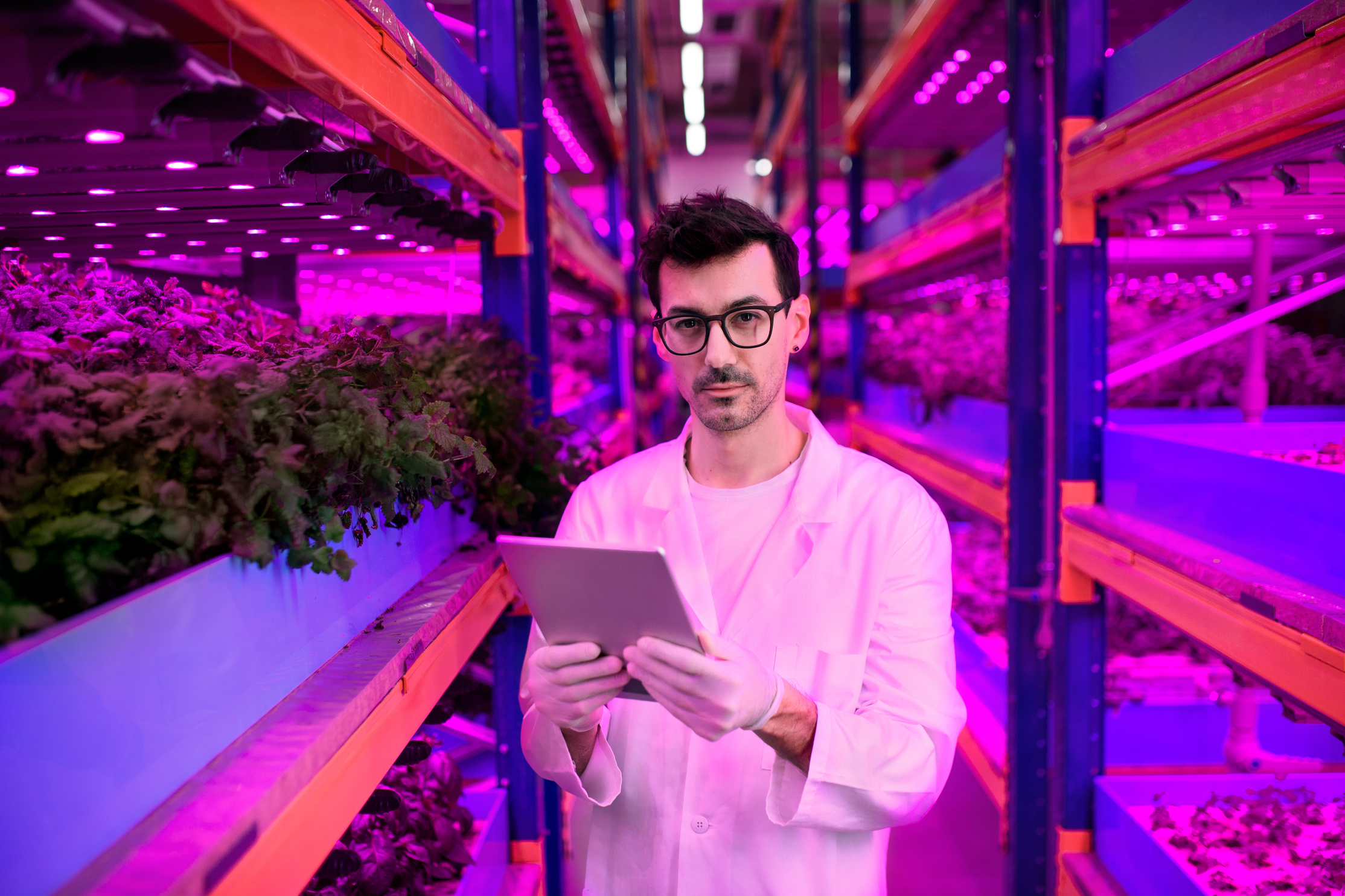 Worker with Tablet on Aquaponic Farm, Sustainable Business and Artificial Lighting.