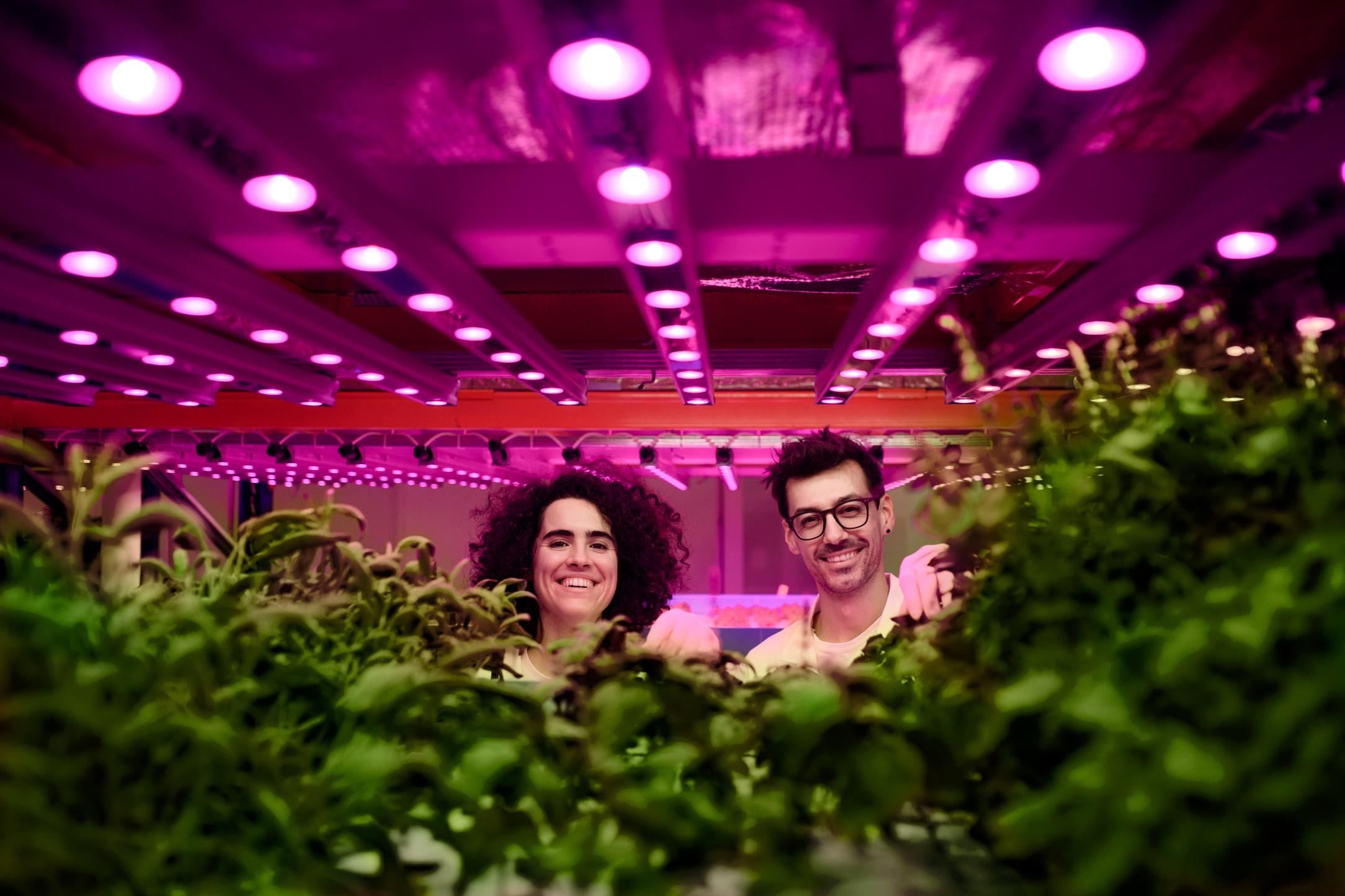 Workers Looking at Camera on Aquaponic Farm, Sustainable Business and Artificial Lighting.